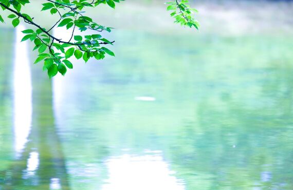 【主婦必見！これで自宅で日焼け止めを塗らなくても大丈夫！！】